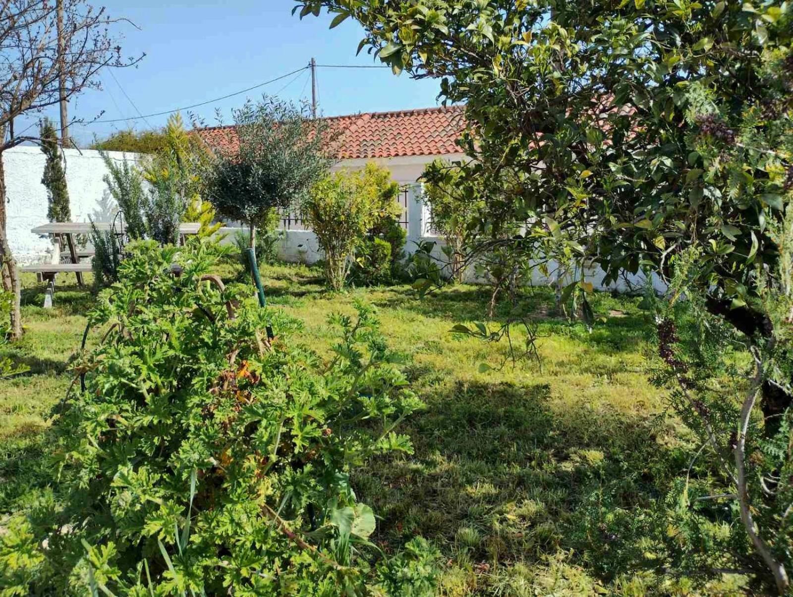 Nafplio Cottage-Grandma'S Yard Asini  Екстер'єр фото